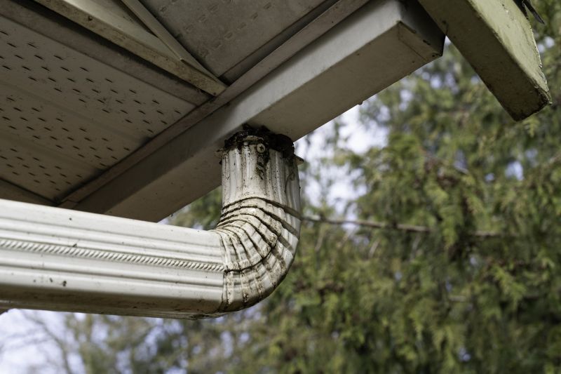Gutter Replacement detail