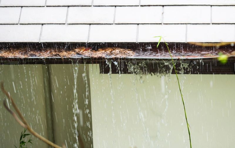 Clean Gutter System